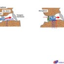 이경원보청기 이미지