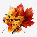 라면/등짐/나무의 연서 이미지