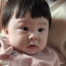 베이비또율 이미지