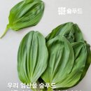 푸드숲 이미지