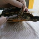 뉴월드 동물병원 이미지