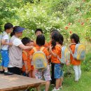 각화초병설유치원 이미지