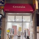 코코시아