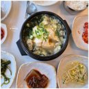 숨쉬는순두부 | 국내산 콩으로 만든 순두부! 대구율하맛집 숨쉬는 순두부 율하점 후기