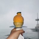 동문카센타 | [여행] 2024.11.22(금)~11.25(월) 3박 4일 제주도 여행(숙소 : 호텔 휘슬락, 일정 : 한라산 등산, 공항...