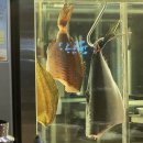 아름다운 숲길 화장실 | 물고기집 : 서울 경의선숲길, 대흥역 대방어, 숙성회 맛집 후기(예약, 내부, 메뉴 등)