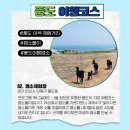 풍도_어촌체험마을 이미지