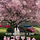 봄코스 이미지