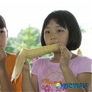 김상경 농장 이미지