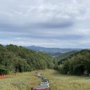 성운카마스타 이미지