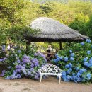 고성군 7 이미지