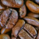 까마로사커피 이미지