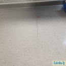 슈퍼맨 광택 이미지