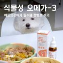 LOVE MY PET 동물병원 | 펫햄프 강아지 식물성 오메가3, 아토피강아지 필수템 후기