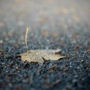 비내쉼터 화장실 이미지