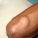 현대통통의원 이미지