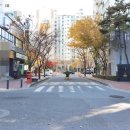 대전대정초교 이미지