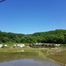 와이펜션 이미지