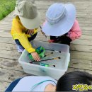 숲어린이집 이미지