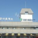 겸면주유소 이미지