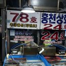 동명동맛집 후광물산에서 속초회 포장 후기 동명동회 신선도 제대로