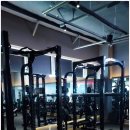 머슬피플 피트니스 이미지