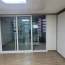 한라동백@ 이미지