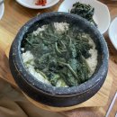 정선 하이원리조트 맛집_ 약산정 곤드레돌솥정식 먹고왔어요!