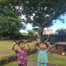 소도락하우스 | 올해 3개월 머물다가신 쌍둥이 가족 후기