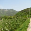 아들바위산장 이미지