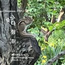 무늬 다람쥐 Chipmunk 한밭수목원 숲 속 이미지