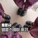 용문사입구공중화장실 | 용문사 템플스테이 체험형 주말 밥 옷 고양이까지 싹 모은 후기