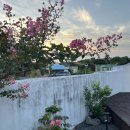 굿나인스테이 이미지