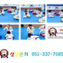 화신태권도 이미지