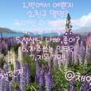 체끄 네이버블로그