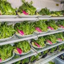 구읍삼거리 이미지