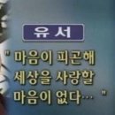 뜨거운 펭귄