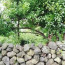 지호민박 이미지