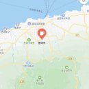 무심농장 | 제주 공항에서 가까운카페 무화과농장 카페 몽라브(MONLAVE)