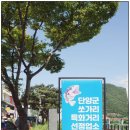 단양 강천쏘가리 이미지