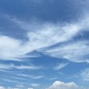 신전떡볶이(랜드마크시티점) 이미지