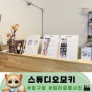 압구정 사진관 스튜디오모키 컬러증명사진 촬영