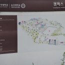 송곡대학길 이미지