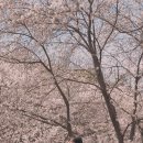 2026.04 의미없는 순간들이 모인 하루 = ???