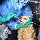 행복을찾는동물병원 이미지