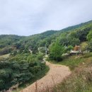 태화목장 이미지