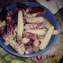 은선농장 이미지