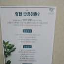 선화로13길 이미지