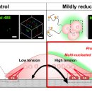 천안유도교실 이미지