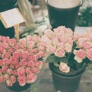 인간행동과사회환경 이미지